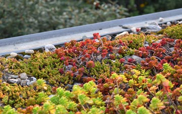 the cost of Cheadle Hulme green roof installation
