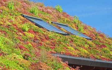 Cheadle Hulme living roof systems